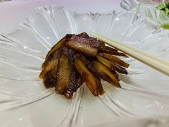-西郊5号·Maggie 5