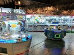 -卡通尼·Safari非洲探索乐园·生日会(金桥国际商业广场店)