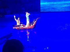 -芜湖新华联大白鲸海洋公园