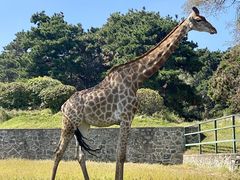 -沈阳森林动物园