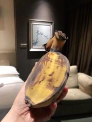 -上海外高桥喜来登酒店·宴会厅