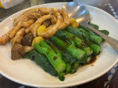 -大中鱼翅 Taitong Shark Fin