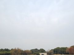-贡湖湾湿地公园