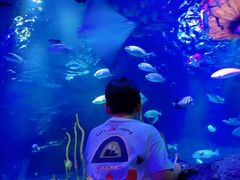 -沈阳海洋探索中心