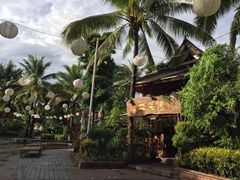-纳兰傣雀傣味餐厅