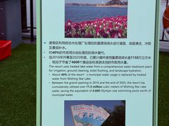 -迪士尼小镇