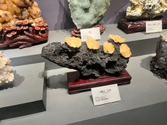 -湖南省地质博物馆