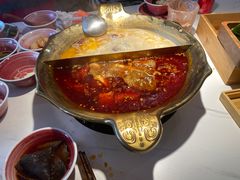 -九鼎轩脆毛肚火锅(三钢里店)