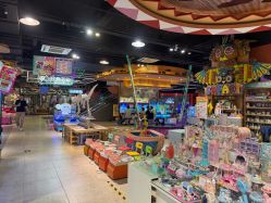 -卡通尼·Safari非洲探索乐园·生日会(金桥国际商业广场店)