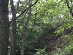 -阳台山自然风景区