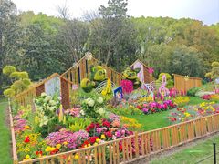 -上海共青森林公园