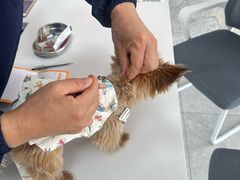 -良伴无忧宠物医院(泰欣嘉园店)
