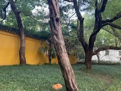 -西园戒幢律寺