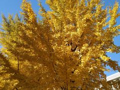 -中家鑫园温泉酒店鑫悦汤泉