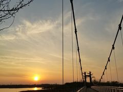 -西青郊野公园