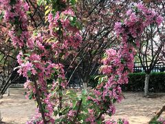 -元大都城垣遗址公园