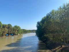 -上海海湾国家森林公园