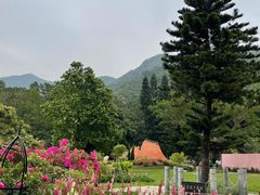 -深圳仙湖植物园