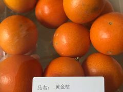 -Olé精品超市(苏州中心店)