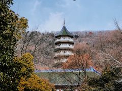-灵谷景区