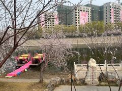 -桃花堤公园