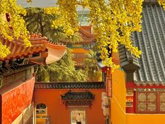 -宝通禅寺