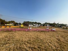 -海上花岛玫瑰园采摘