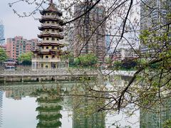-宝岛公园