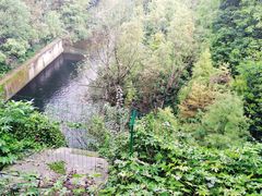 -重庆彩云湖湿地公园
