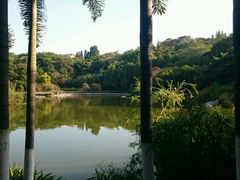 -厦门悦华酒店