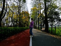 -上海长兴岛郊野公园