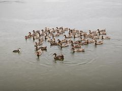-野鸭湖国家湿地公园