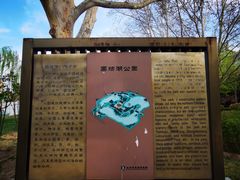 -团结湖公园