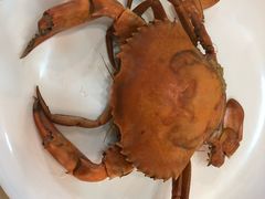 -港畔赶海蒸汽海鲜烧烤自助(仙螺岛店)