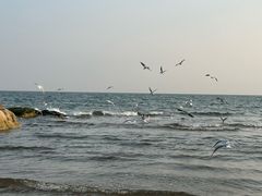 -老虎石海上公园