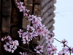 -三里河公园