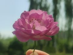-木塔寺遗址生态公园