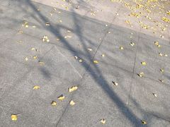 -杭州师范大学(下沙校区)