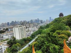 -黄鹤楼公园(黄鹤楼)