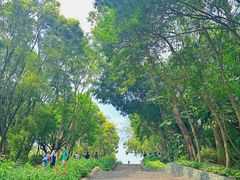 -深圳国际园林花卉博览园