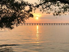 -宝安西湾红树林湿地公园