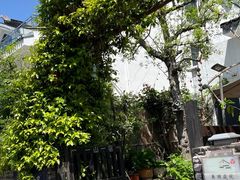 -树山生态村