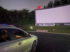 -枫花园汽车电影院(朝阳公园店)