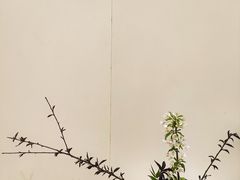 -今日陶艺(富力广场店)
