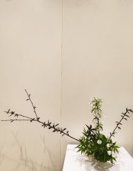 -今日陶艺(富力广场店)