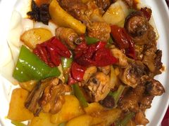 伊犁辣皮子烩大盘鸡-西贝莜面村(上海百联西郊店)