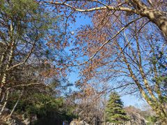 -秦岭终南山世界地质公园翠华山景区