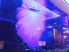 -东京和食 Sun with AQUA