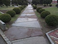 -辽宁大学(崇山校区)