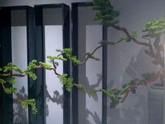 -璞·澐间影院式足道SPA(尚悦湾店)